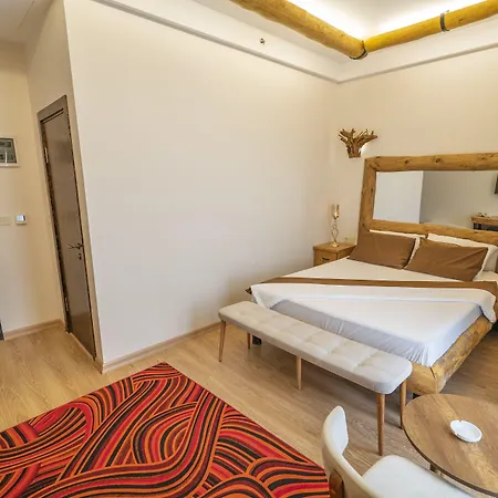 Pasha Palace Sarıgazi