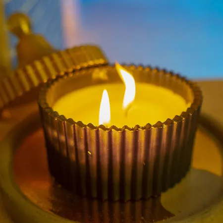 Pasha Palace מלון