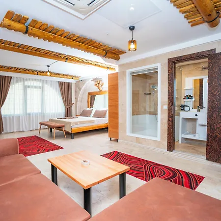 Pasha Palace 3* Sarıgazi