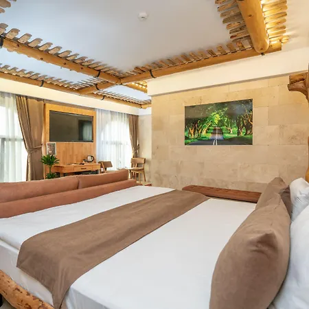 Pasha Palace Hotel 3*