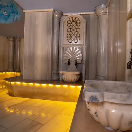 باشا بالاس فندق 3*