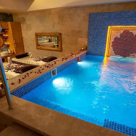 باشا بالاس فندق