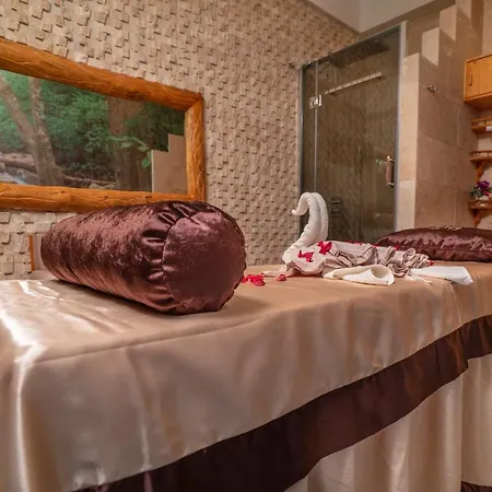 فندق باشا بالاس 3*