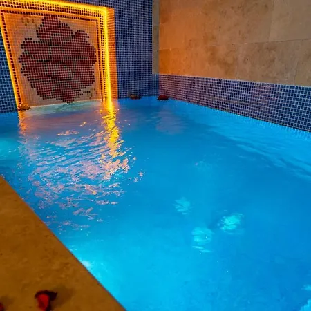 باشا بالاس فندق 3*