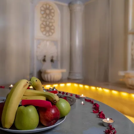 باشا بالاس فندق 3*
