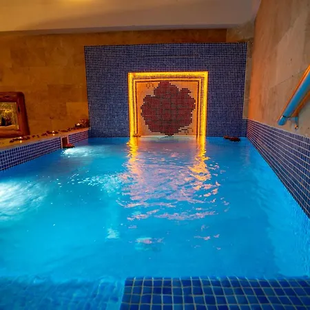 باشا بالاس 3*