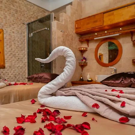 باشا بالاس 3*