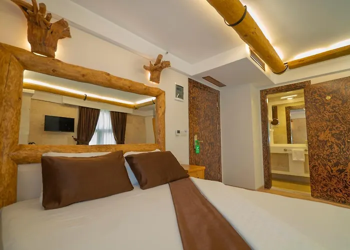 Pasha Palace Hotell 3*