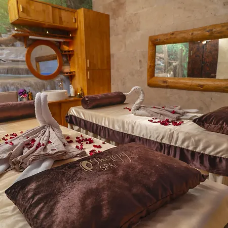 Pasha Palace Otel Sarigazi