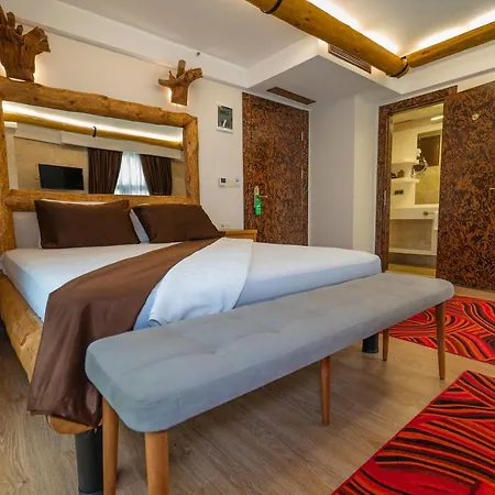 Otel Pasha Palace Sarigazi